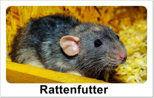 Rattenfutter