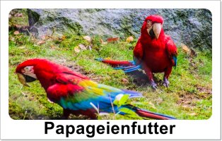 Papageienfutter