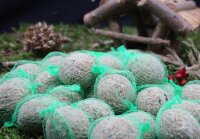 Meisenknödel 100 Stück mit Netz mit Insekten Anhaltiner Vogelfutter