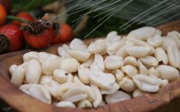Blanchierte Erdnüsse 25 kg Anhaltiner Vogelfutter
